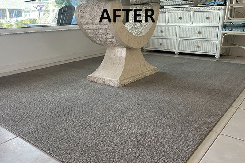 Carpet cleaning - Dec 6 | Goldmillio cleaning service in Cape Coral 