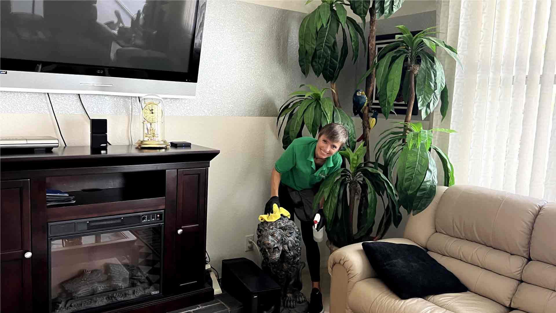 Interior details cleaning - Regular cleaning in Cape Coral by Goldmillio - Feb 26
